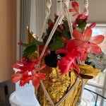 Nancy Walden LeBrun - @nancywaldenlebrun - Instagram