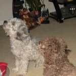 Nancy Wallen Marker - @wallenmarker - Instagram