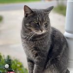 Nancy Wallick Baraks - @baraksnancy - Instagram