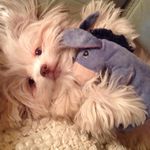 Nancy Wallington - @wallingtonnancy - Instagram