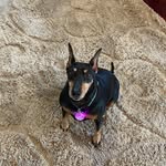 Nancy Walter - @nancy.walter - Instagram