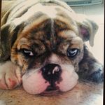 Nancy Wanner - @wanny001 - Instagram
