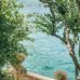 Nancy Ward - Facebook