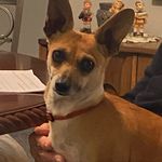 Nancy Ward - @ward_nancy - Instagram