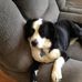 Nancy Ward - Facebook