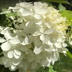 Nancy Warden - Facebook
