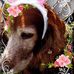 Nancy Wardrope - Facebook