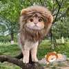 Nancy's Pet Wardrobe - @nancys.pet.wardro - TikTok