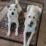 Nancy Wardwell - Facebook