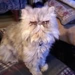 Nancy Hennessey Warnock - @hennwar - Instagram