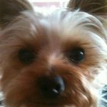 Nancy Warriner - @energizer.bunny71 - Instagram