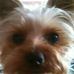 Nancy Warriner - Facebook