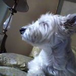 Nancy Watling - @watlingn - Instagram