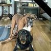 Nancy Nixon Watters - @nancy.nixon.watte - TikTok