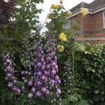 Nancy Watters - @nancy.watters.52 - Instagram