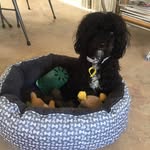 Nancy Watters - @wattersnancy - Instagram