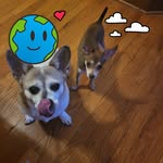 Nancy Watters - @314.9229039 - Instagram