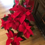 Nancy Watterson - Facebook