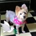 Nancy Weakley - Facebook