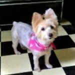Nancy Weakley - @nancyweakley12 - Instagram