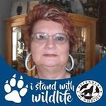 Nancy Webb - @nancywebb1600 - Instagram