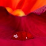 Nancy Webb - @nancybwebb - Instagram