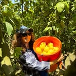 Nancy Wechsler - @wechsler.nancy - Instagram