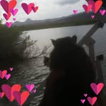 N HDangelsquirrel Weckler - @nancyweckler - Instagram