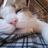 nancy.welker - @nancy.welker - TikTok