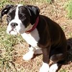Nancy Weeks - @nancy.weeks.1293 - Instagram