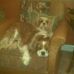 Nancy Weibel - Facebook