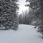 Nancy Weibel - @nancyweibel - Instagram