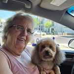 Nancy McLerran Weigman - @nweigman55 - Instagram