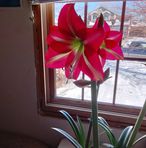 Nancy Weimer - Facebook
