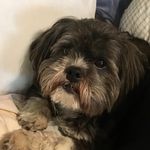 Nancy Weimer - @trappermom03 - Instagram