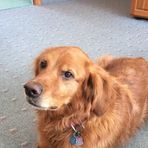 Nancy Weimer - Facebook