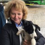 Nancy Weinberg - @nancy.weinberg - Instagram