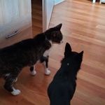 Nancy Weinberg - @s.w.17192 - Instagram