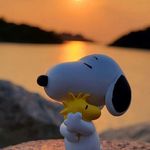Nancy Weis - @sunny11043 - Instagram