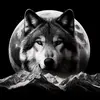 Nancy Weise - @nancy.weise6 - TikTok