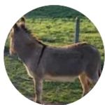 Nancy Weiselberg Evans - @nancyweiselbergevans - Instagram