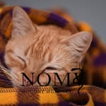 Nancy Daigle Welborn - @welbornnancy - Instagram