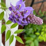 Nancy Welborn - @welborn1946 - Instagram