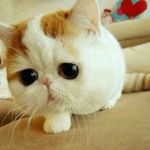 Nancy Weng - @nancyweng123 - Instagram