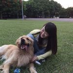 Nancy Weng🐶 - @nancy1735 - Instagram
