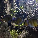 Nancy Weng - @weng8844 - Instagram