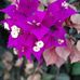 Nancy Werth - Facebook