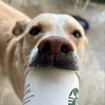 Nancy Werthman - @nancywerthman - Instagram