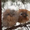 Nancy Werthman - @nancy.werthman - TikTok