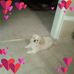 Nancy Wesley - Facebook
